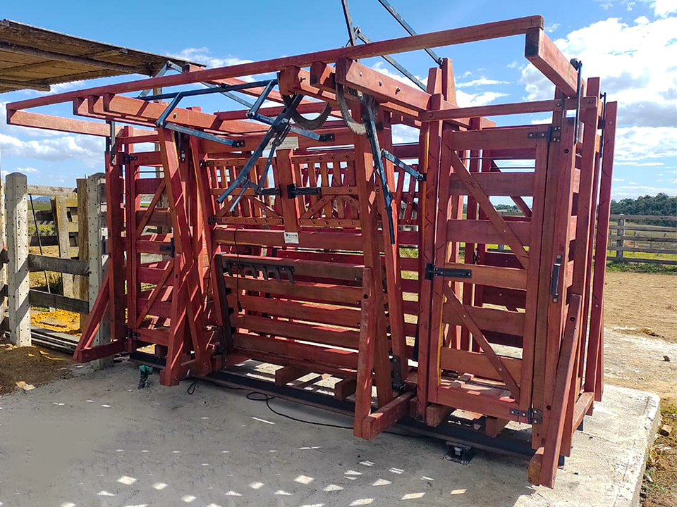 Tronco de Contenção Americano com 2 Cabines para Veterinário (Catraca)